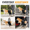 A dog is being assisted by a person using a heavy duty harness for walks, stairs, and daily support.