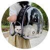 Eine weiße Katze befindet sich in einem transparenten Transportbeutel für Haustiere, den eine Person hält.
