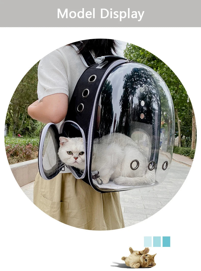 Eine weiße Katze befindet sich in einem transparenten Transportbeutel für Haustiere, den eine Person hält.
