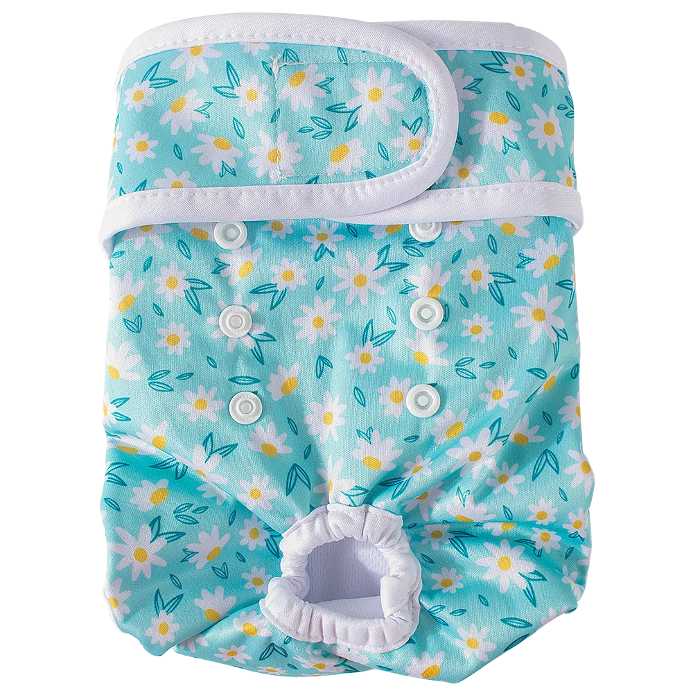 Reusable female dog diapers in light blue and white floral pattern with snap closures