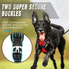 A black dog wearing a two super secure buckle harness with reflective strips and handle.