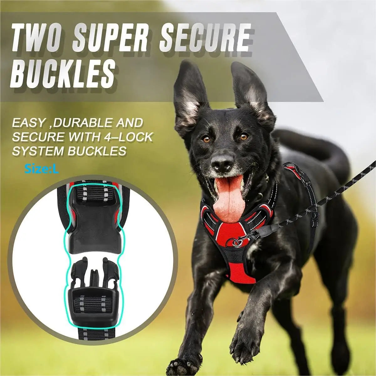 A black dog wearing a two super secure buckle harness with reflective strips and handle.