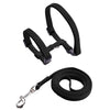 Black adjustable nylon pet harness and leash set