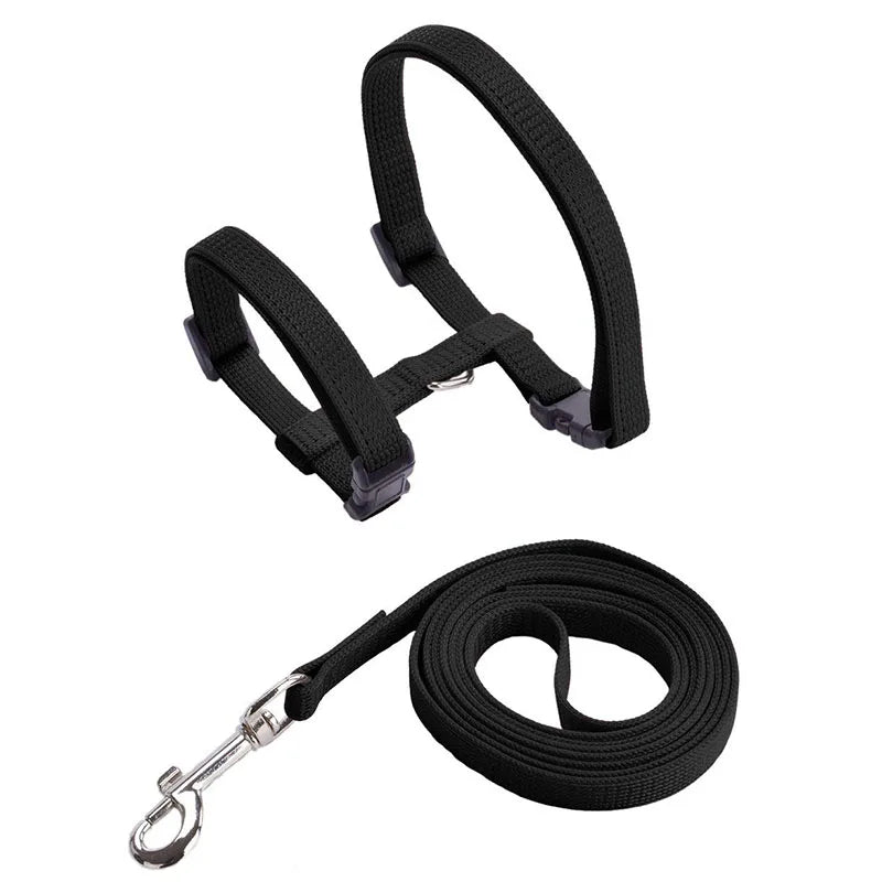 Black adjustable nylon pet harness and leash set