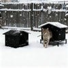 A gray cat is standing in front of a black heated outdoor cat shelter covered in snow.