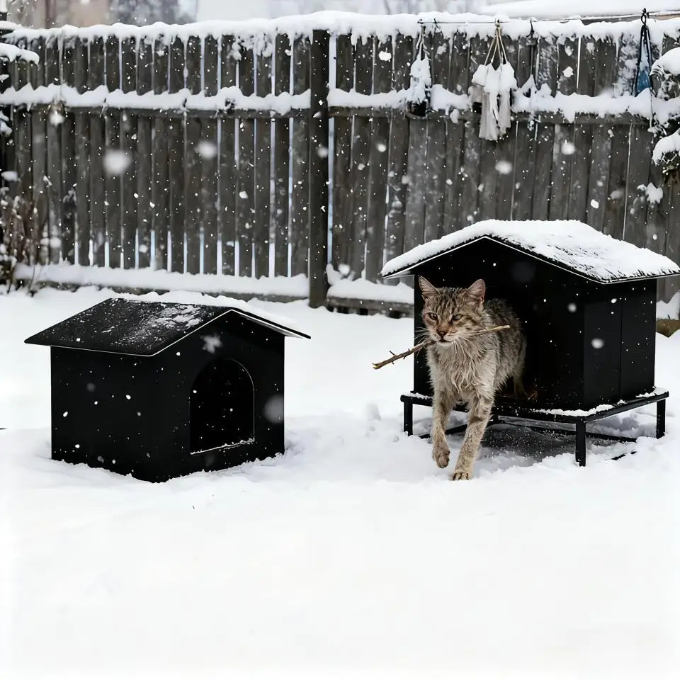 A gray cat is standing in front of a black heated outdoor cat shelter covered in snow.