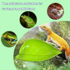 A bright green leaf serving as a basking platform for various amphibians and reptiles.