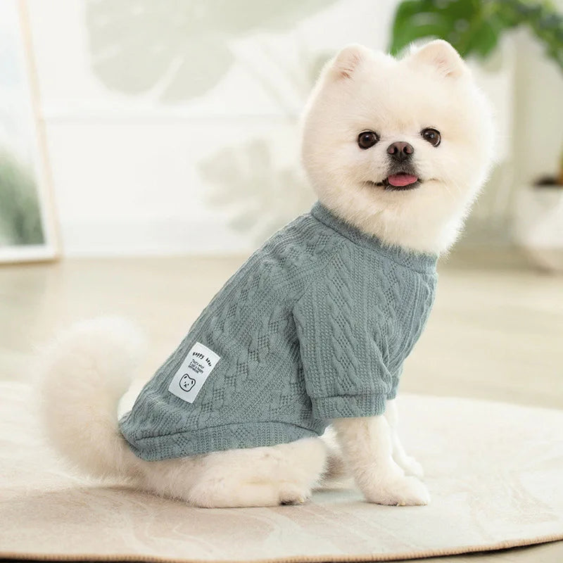 A fluffy white dog wearing a gray knitted winter sweater sitting on a light surface.