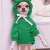A small dog wearing a green frog-themed hoodie with large eyes.