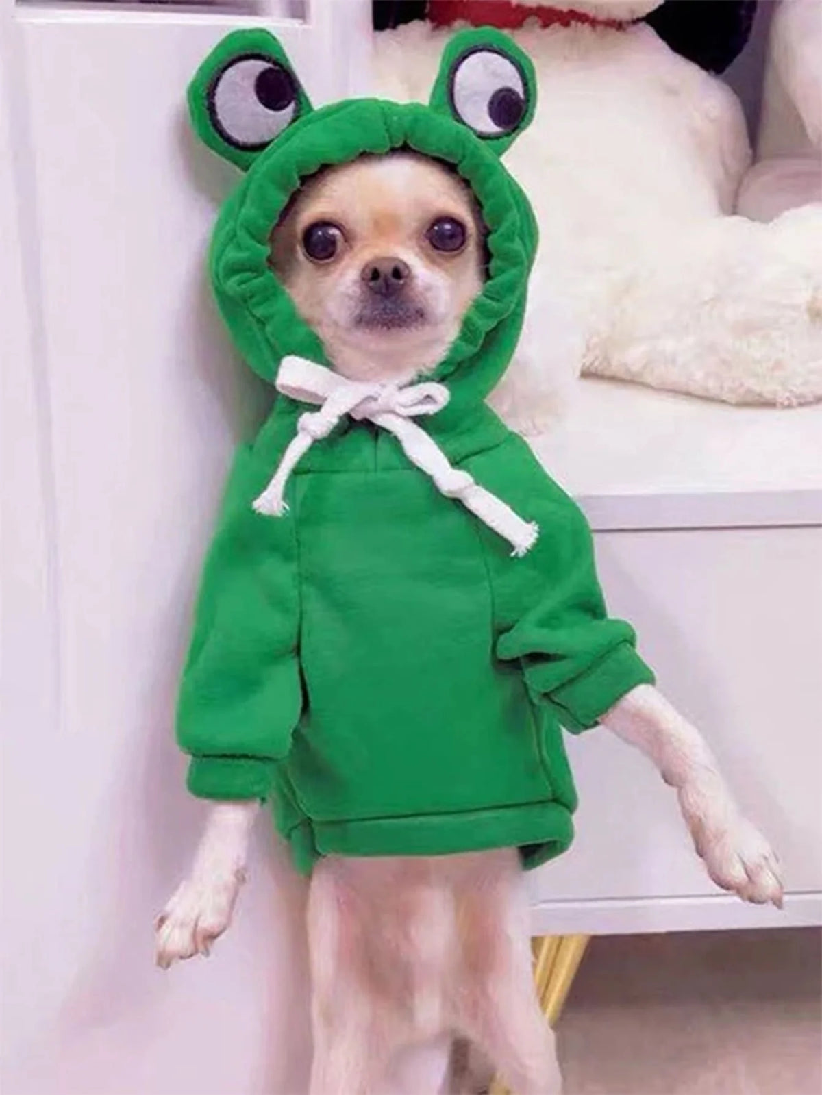 A small dog wearing a green frog-themed hoodie with large eyes.