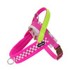 Pink and lime green adjustable dog harness and leash set