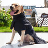 Un chien doré portant un manteau anti-vent noir et une laisse, debout à l'extérieur.