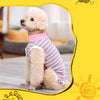 A light-colored poodle wearing a striped pink and white cotton recovery suit.