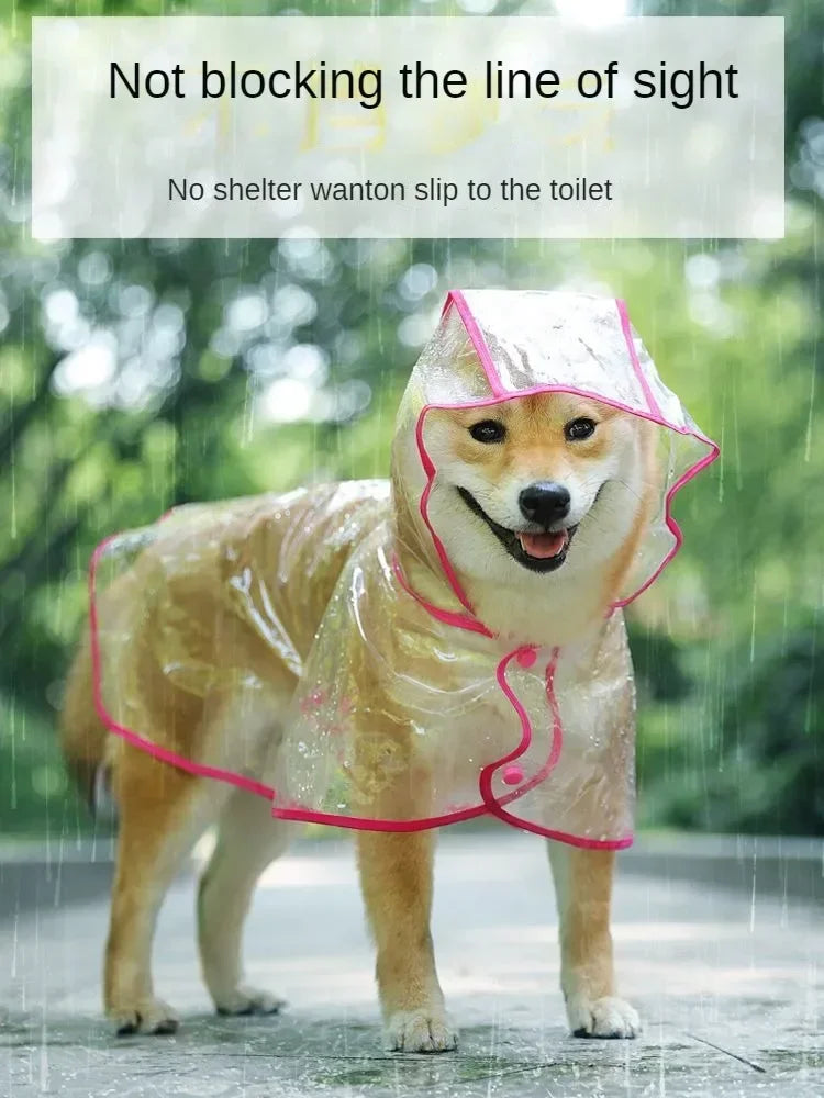 Un chien de couleur beige clair portant un imperméable transparent avec des bordures roses, debout sous la pluie.