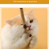 A white and ginger cat is holding a natural silvervine chew stick for dental health and relaxation.
