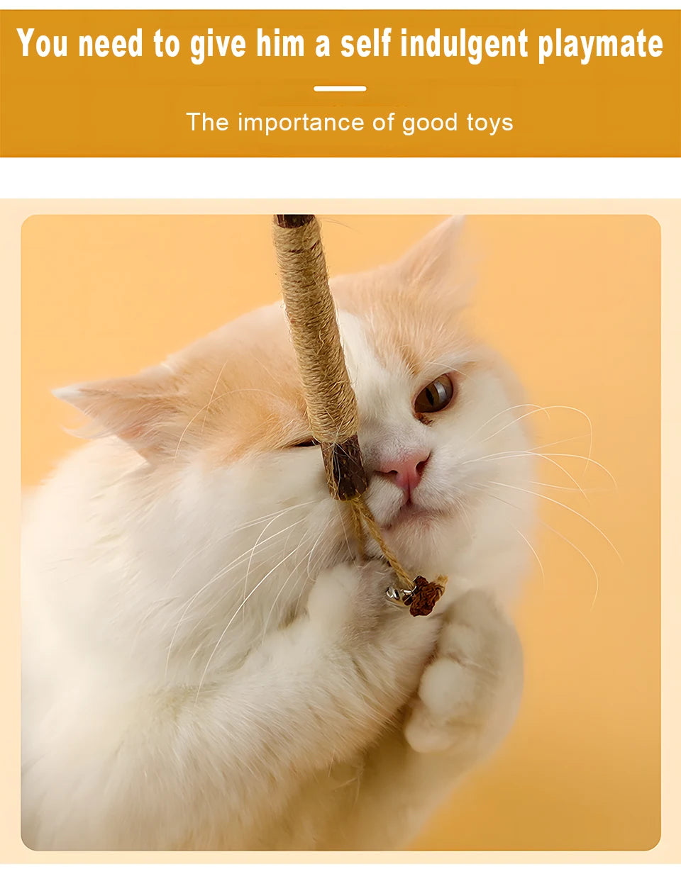 A white and ginger cat is holding a natural silvervine chew stick for dental health and relaxation.