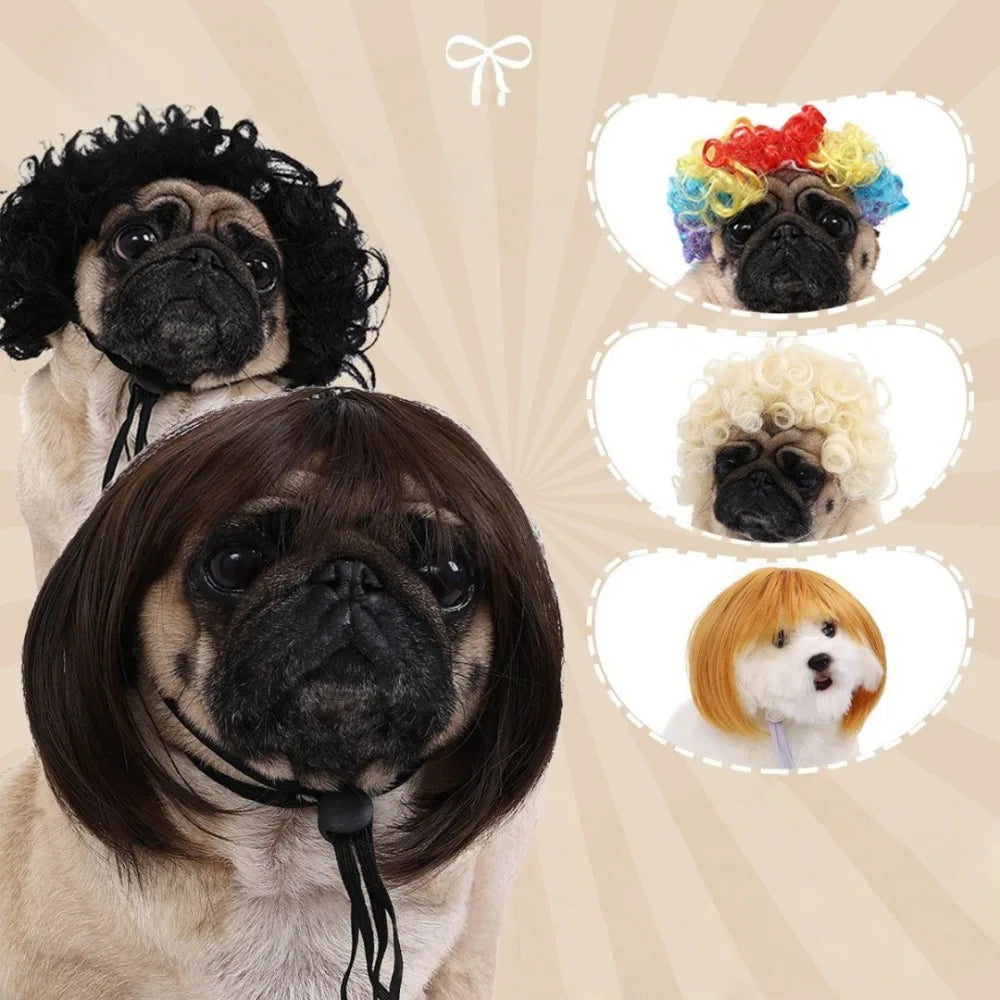 Collage von Hundegesichter mit Frisuren und Kopfbedeckungen für Cosplay.