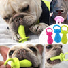A close-up of a dog using a bright green squeaky chew toy for teeth cleaning and training.