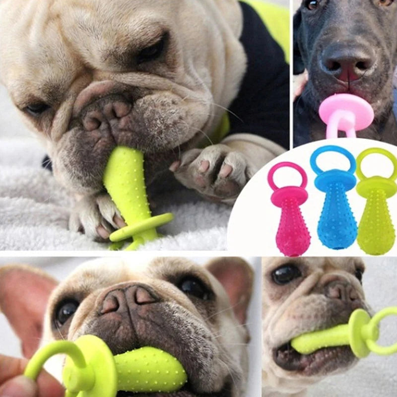 A close-up of a dog using a bright green squeaky chew toy for teeth cleaning and training.
