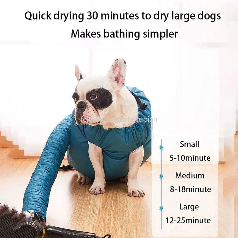 A small white dog is sitting inside a blue foldable drying bag on a wooden floor.