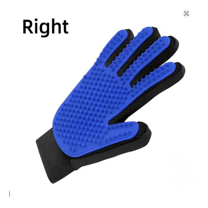 Rechte Hand trägt eine blaue Silikon-Tierhaarbürste und Massagebürste.