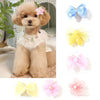 A fluffy light brown dog is shown next to various pink and blue fabric bow clips for grooming.