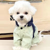 Un chien blanc portant une combinaison imperméable vert clair avec un col bleu foncé.