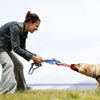 A woman is playing a tug-of-war game with a dog using a blue and red rope toy in a grassy field.