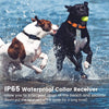 A black dog and a white dog are running in the water with an IP65 waterproof collar receiver.