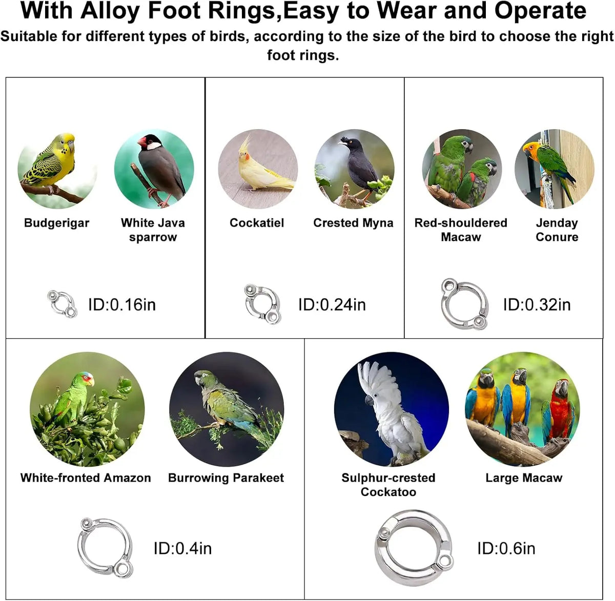 Eine Sammlung von Legierungfußringen für verschiedene Vogelgrößen, darunter gelbe, braune und grüne Vögel.