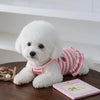 A fluffy white puppy wearing a red and white striped dress with strawberry details.