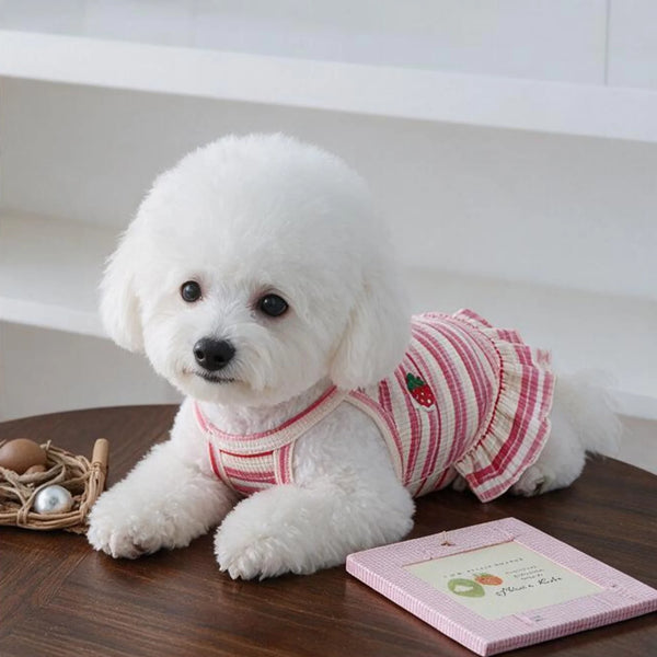A fluffy white puppy wearing a red and white striped dress with strawberry details.