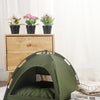 A olive green cozy pet tent bed for cats resting on a white fluffy rug next to potted flowers.