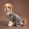 A small dog wearing leopard print pajamas, sitting against a brown background.