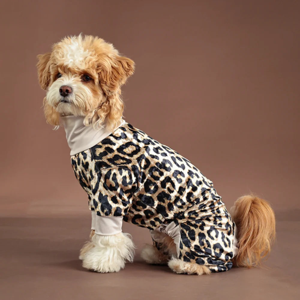 A small dog wearing leopard print pajamas, sitting against a brown background.