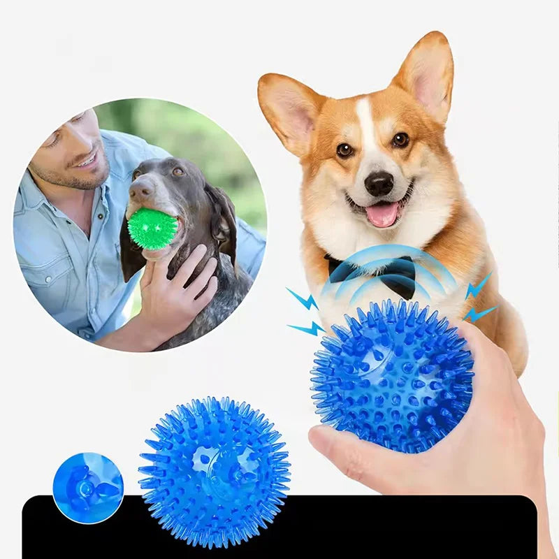 A dog is shown interacting with a green squeaky ball and a hand holding a blue spiky ball for teeth cleaning and play.