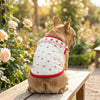 A brown dog wearing a white pet vest with red ruffled strawberry print sitting outdoors.