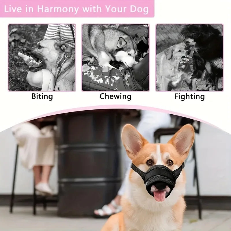 An adjustable soft dog muzzle is shown in a close-up view, with a dog wearing it and a person nearby.