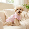 A light tan poodle wearing a pink and white striped mesh bow dog suit sitting on a cream sofa.