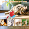 An interactive automatic rolling cat toy is shown with a cat, demonstrating weight management, hunting nature, and relieving 