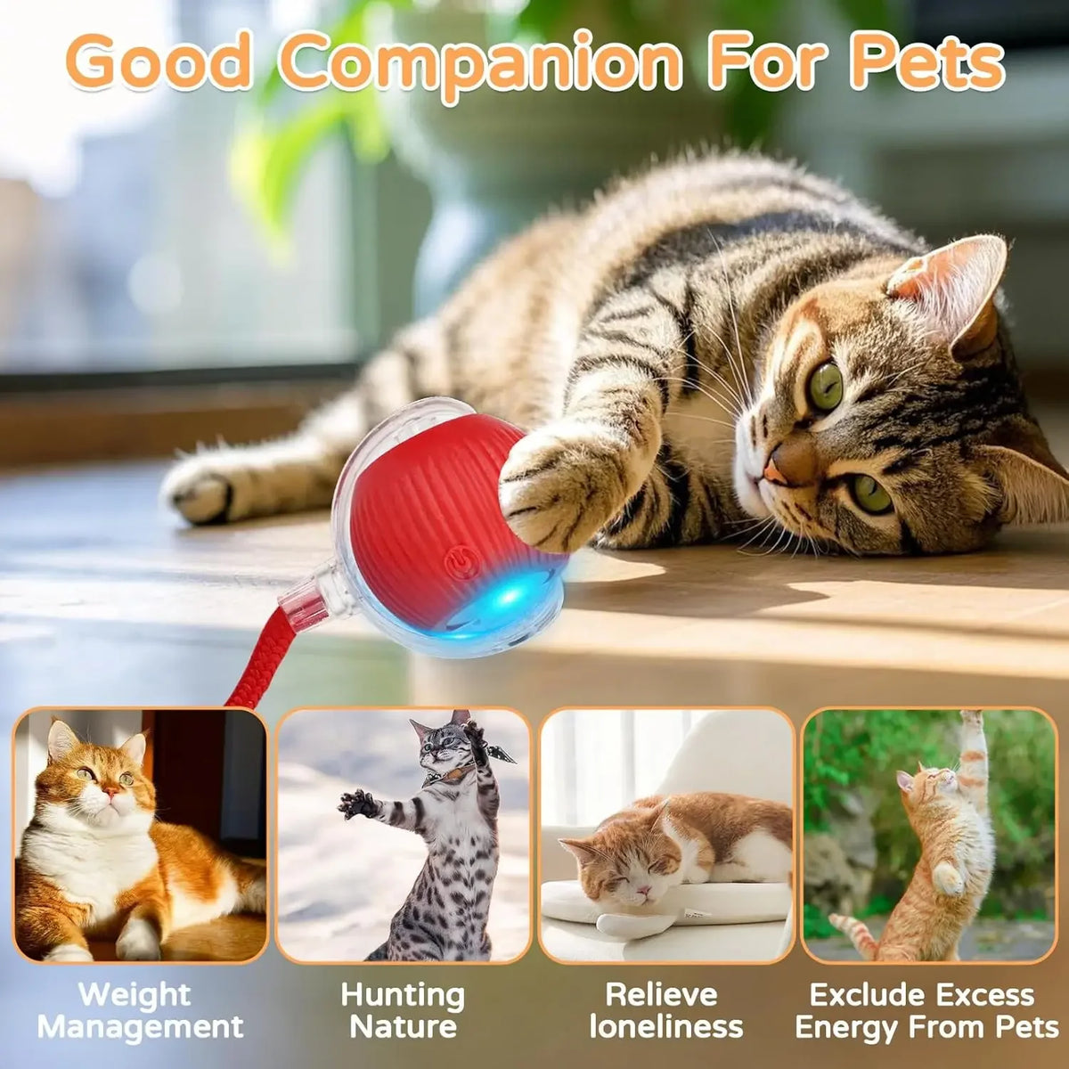 An interactive automatic rolling cat toy is shown with a cat, demonstrating weight management, hunting nature, and relieving 