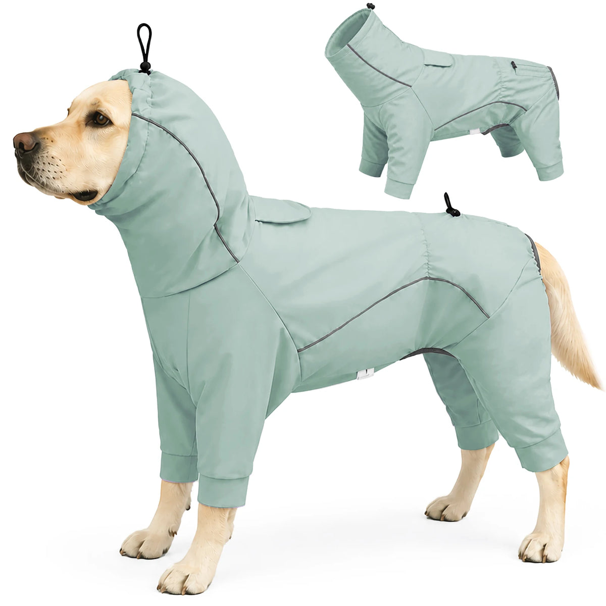 A light blue dog raincoat is shown on a dog, featuring a hood and waterproof material.