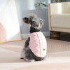 A small gray dog wearing a pink fleece pet sweater sitting on a light pink rug.