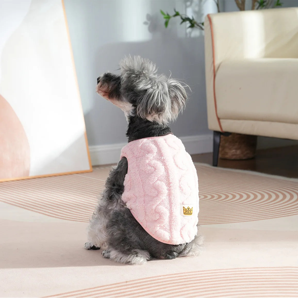 A small gray dog wearing a pink fleece pet sweater sitting on a light pink rug.