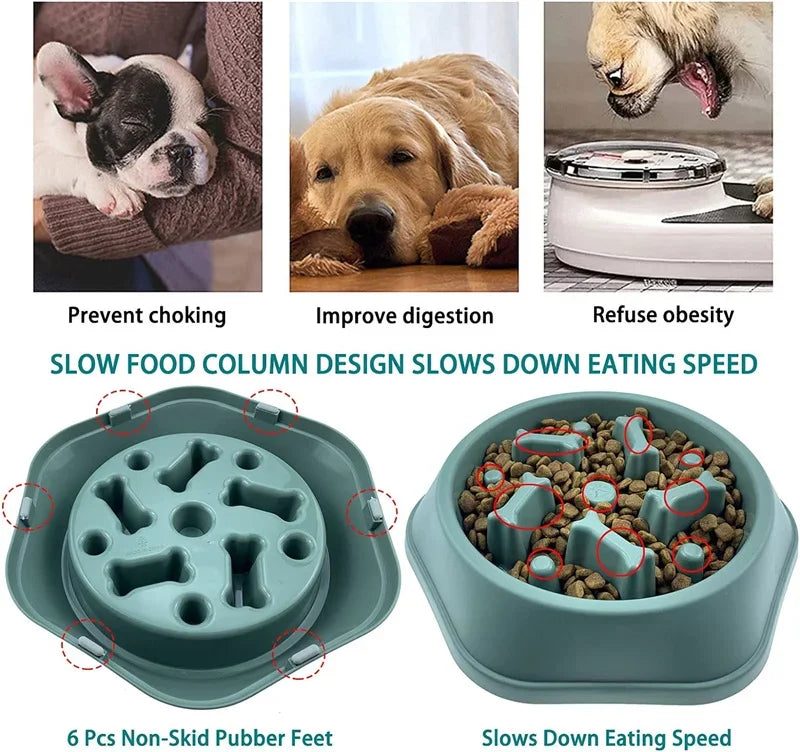 A teal dog bowl with a puzzle design featuring six non-skid rubber feet for slowing down the eating speed.
