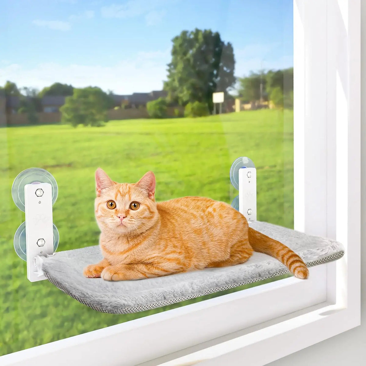 An orange tabby cat relaxing on a gray window perch hammock with suction cups.