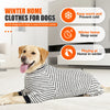 Un perro dorado vistiendo un traje de invierno a rayas para perros, diseñado para mantenerlos calientes y prevenir el frío.