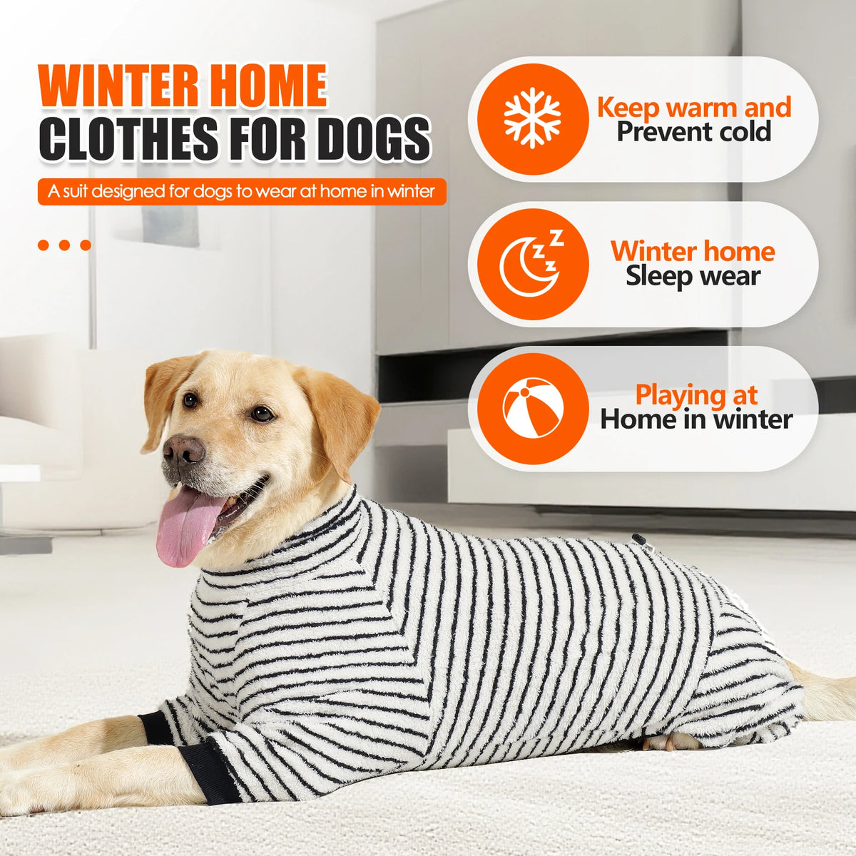 Un perro dorado vistiendo un traje de invierno a rayas para perros, diseñado para mantenerlos calientes y prevenir el frío.