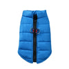 Blue padded dog coat jacket for small breeds with a black zipper and decorative hardware