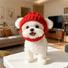 A white dog wearing a red knit beanie hat in a studio setting.